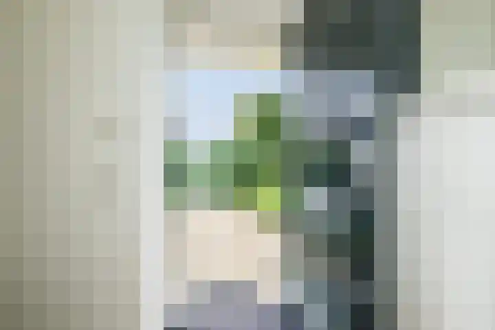 Ploegweg 5 Huizen thumbnail 4