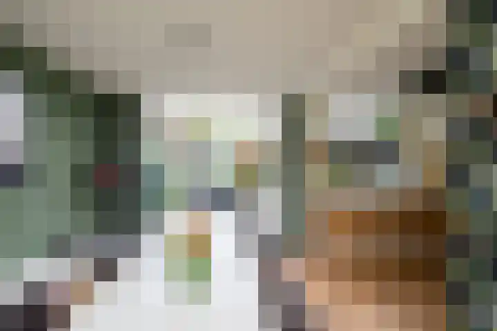 Ploegweg 5 Huizen thumbnail 9