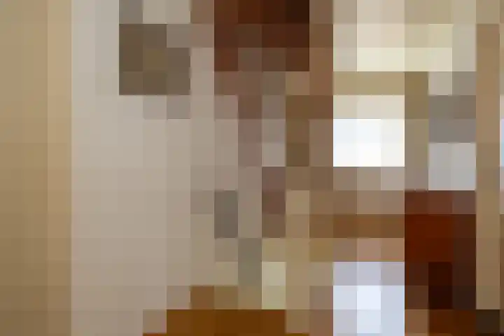 Ploegweg 59 Elspeet thumbnail 33