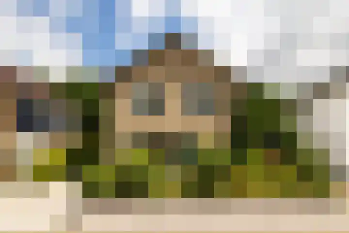 Ploegweg 59 Elspeet thumbnail 34