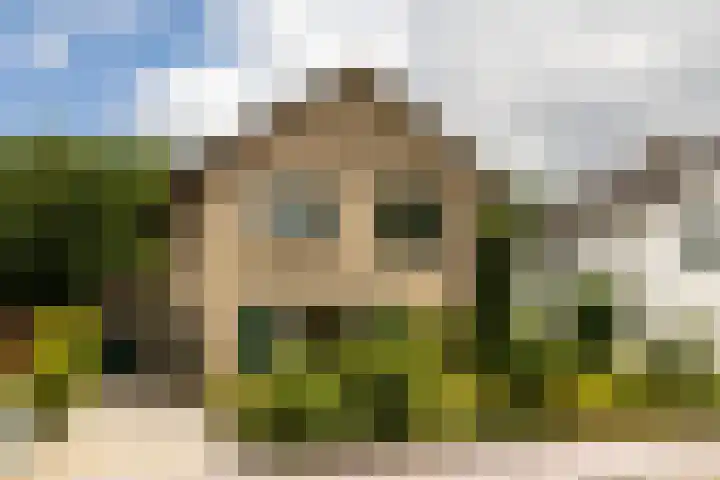 Ploegweg 59 Elspeet thumbnail 35
