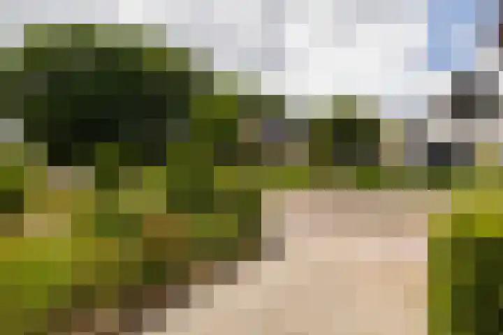Ploegweg 59 Elspeet thumbnail 36