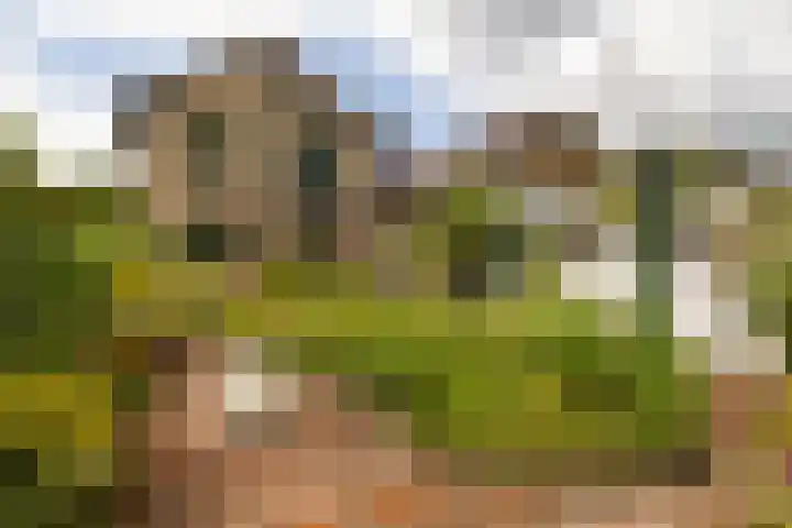 Ploegweg 59 Elspeet thumbnail 38