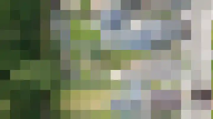 Ploegweg 59 Elspeet thumbnail 39