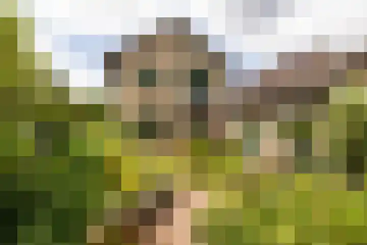 Ploegweg 59 Elspeet thumbnail 4