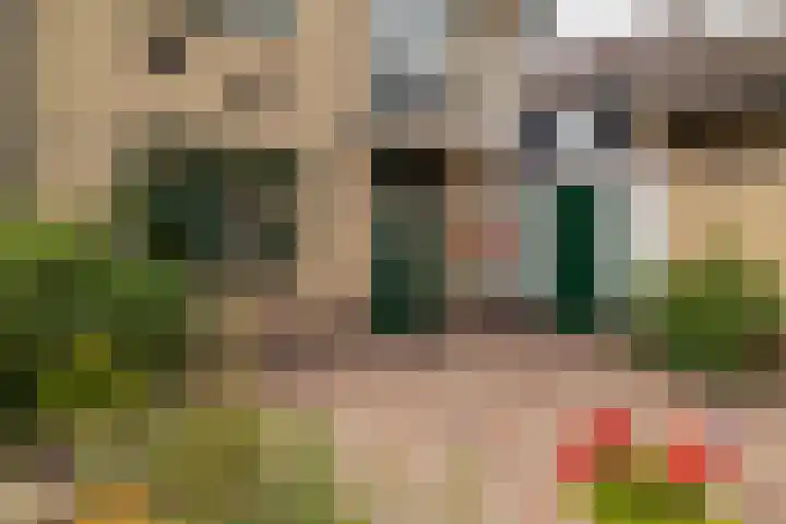 Ploegweg 59 Elspeet thumbnail 5