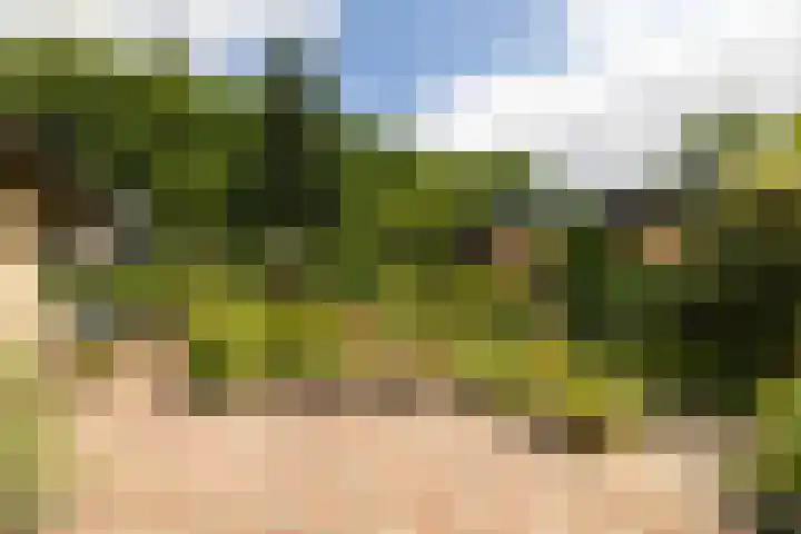Ploegweg 59 Elspeet thumbnail 7