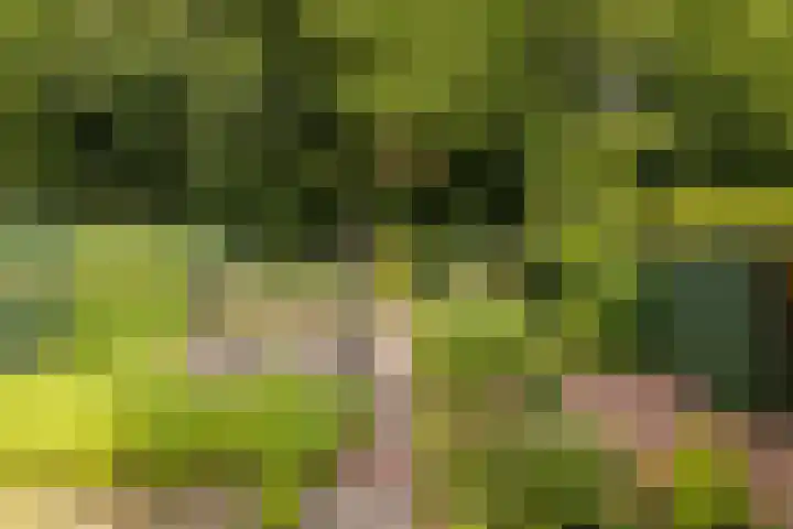 Ploegweg 59 Elspeet thumbnail 8