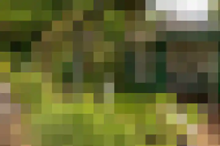 Ploegweg 59 Elspeet thumbnail 9