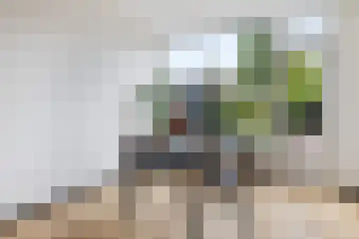Ploegweg 9 Huizen thumbnail 14