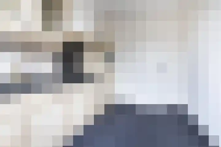 Ploegweg 9 Huizen thumbnail 17