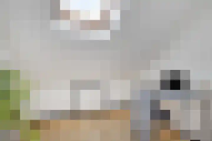 Ploegweg 9 Huizen thumbnail 31