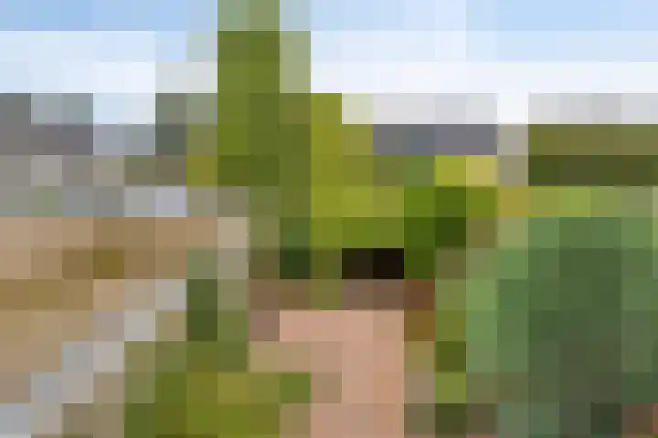 Ploegweg 9 Huizen thumbnail 32