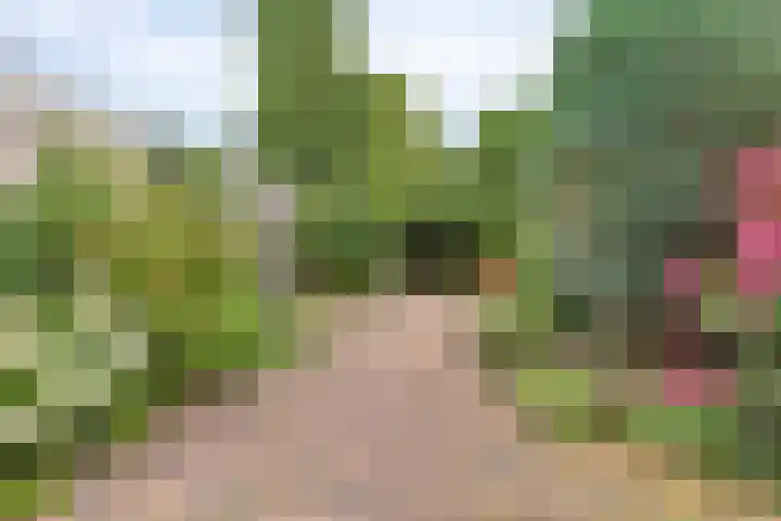 Ploegweg 9 Huizen thumbnail 33