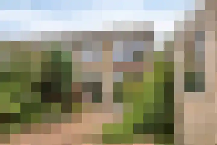 Ploegweg 9 Huizen thumbnail 35
