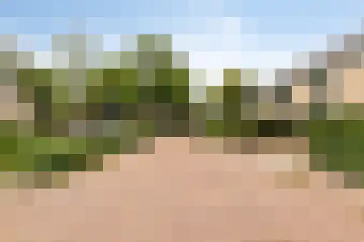 Ploegweg 9 Huizen thumbnail 4