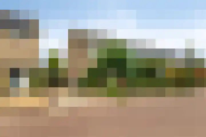 Ploegweg 9 Huizen thumbnail 5