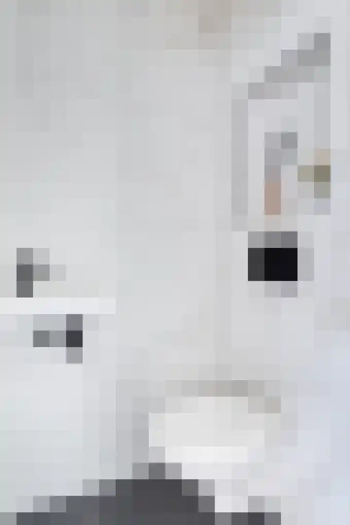 Ploegweg 9 Huizen thumbnail 9