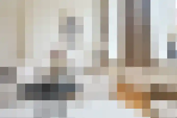 Plompetorengracht 11 A Utrecht thumbnail 18