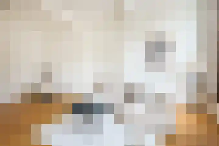 Plompetorengracht 11 A Utrecht thumbnail 19