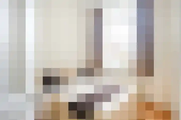 Plompetorengracht 11 A Utrecht thumbnail 31