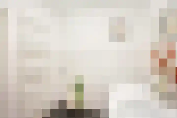 Plompetorengracht 11 A Utrecht thumbnail 40