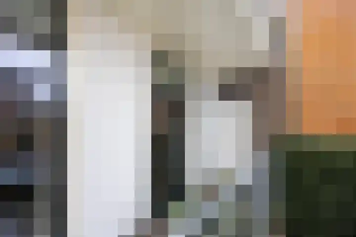 Plompetorengracht 11 A Utrecht thumbnail 43