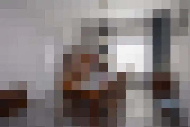 Plonderijen 12 Reusel thumbnail 10