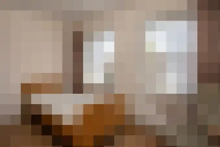 Plonderijen 12 Reusel thumbnail 19