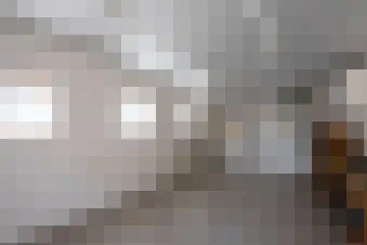 Plonderijen 12 Reusel thumbnail 20