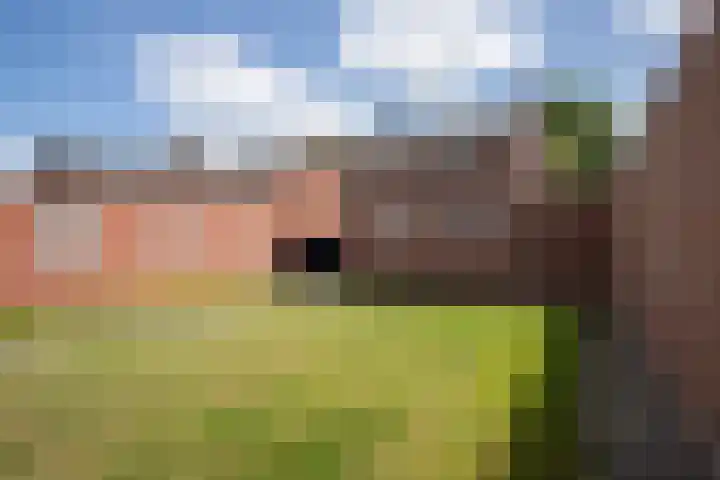 Plonderijen 12 Reusel thumbnail 22
