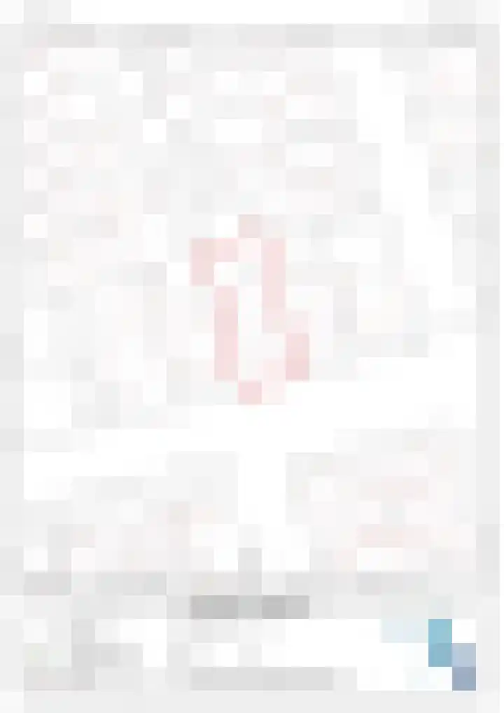 Plonderijen 12 Reusel thumbnail 31