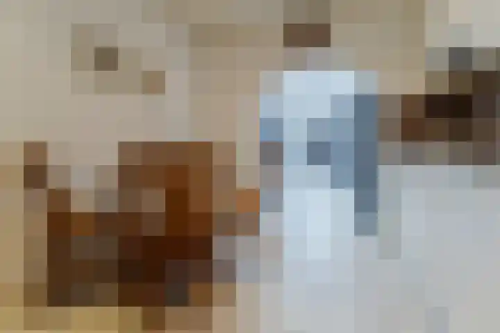 Plonderijen 29 Reusel thumbnail 11