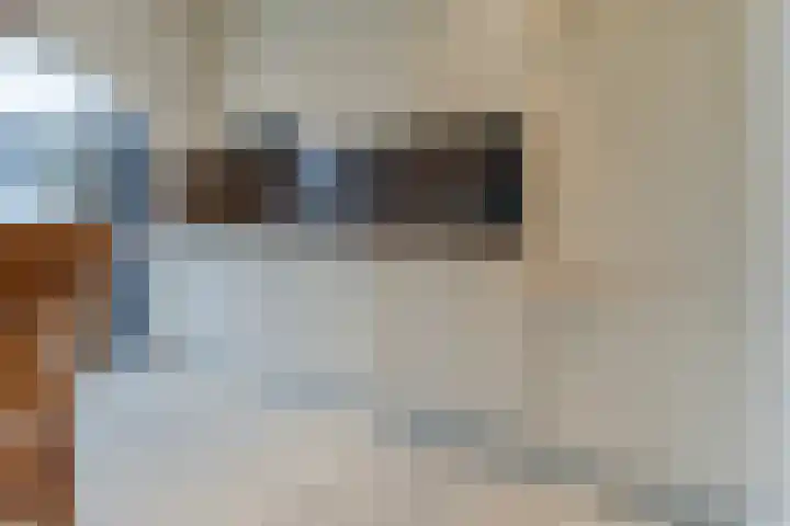 Plonderijen 29 Reusel thumbnail 12