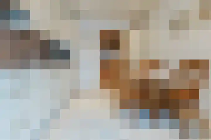 Plonderijen 29 Reusel thumbnail 13