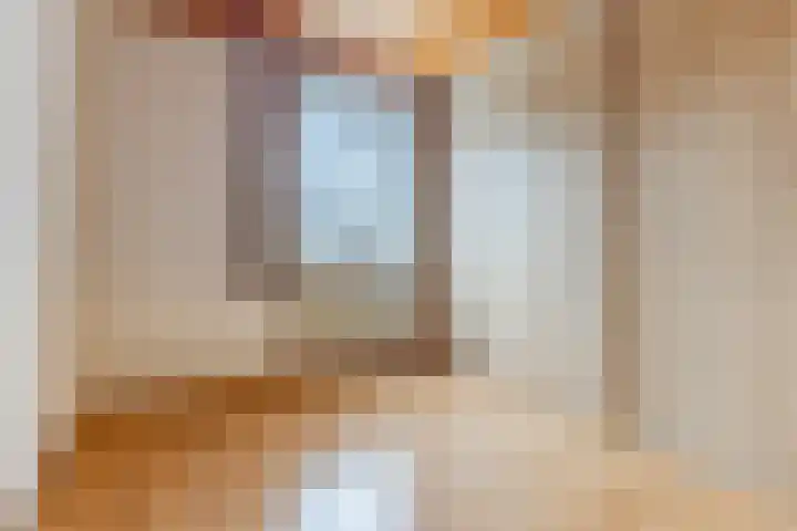 Plonderijen 29 Reusel thumbnail 17