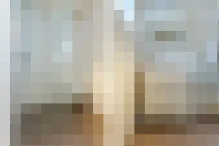 Plonderijen 29 Reusel thumbnail 20