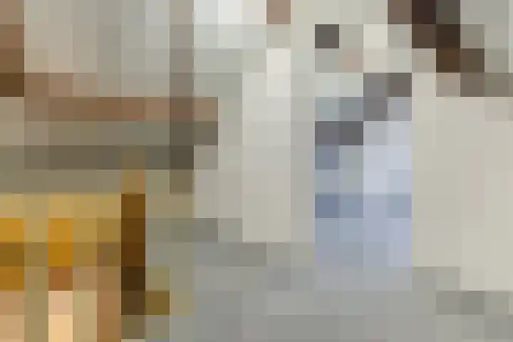 Plonderijen 29 Reusel thumbnail 21