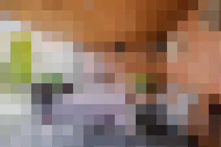 Plonderijen 29 Reusel thumbnail 25