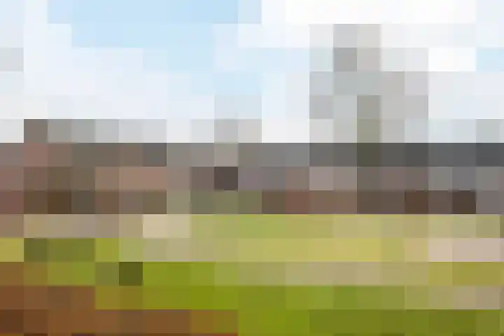 Plonderijen 29 Reusel thumbnail 29