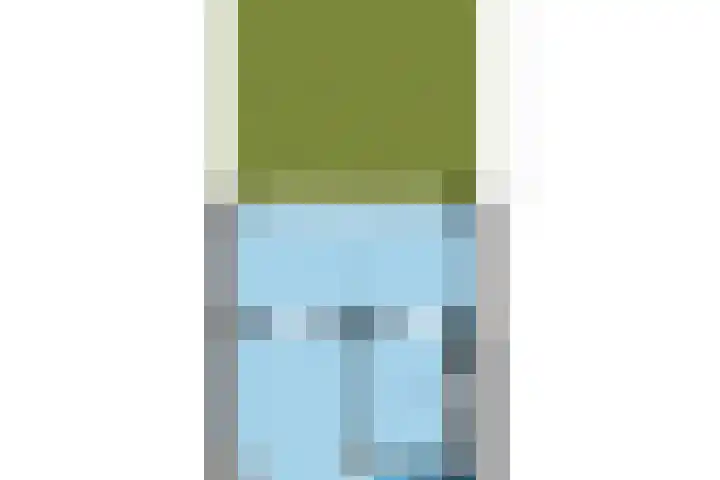 Plonderijen 29 Reusel thumbnail 35