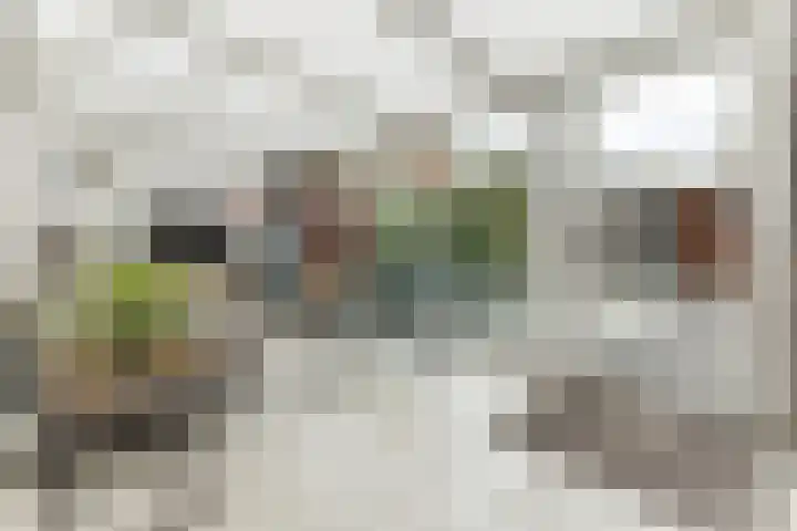 Plonderijen 29 Reusel thumbnail 5