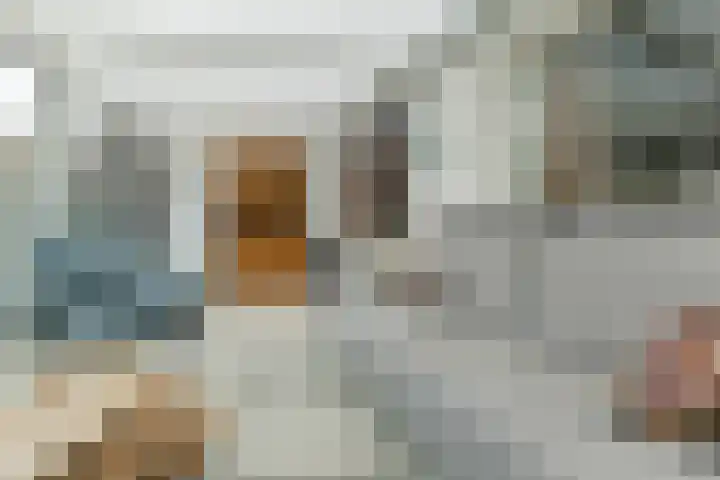 Plonderijen 29 Reusel thumbnail 6