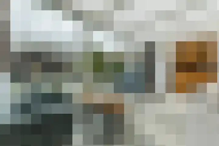 Plonderijen 29 Reusel thumbnail 7