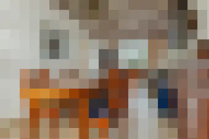 Plonderijen 29 Reusel thumbnail 8