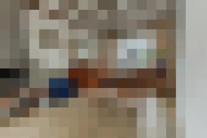 Plonderijen 29 Reusel thumbnail 9
