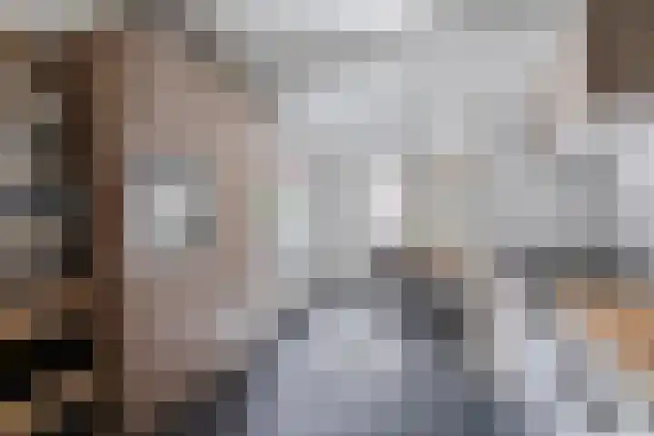 Plonderijen 33 Reusel thumbnail 12