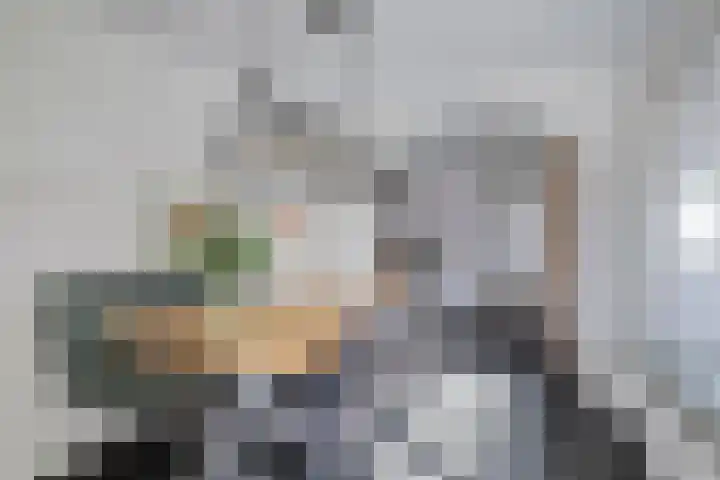 Plonderijen 33 Reusel thumbnail 13