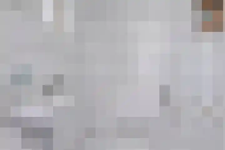 Plonderijen 33 Reusel thumbnail 14