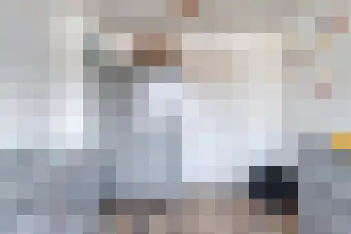 Plonderijen 33 Reusel thumbnail 19